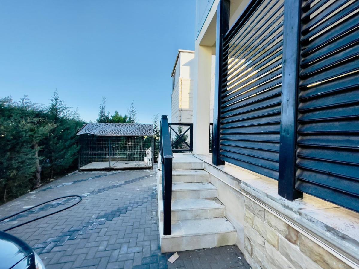 Delmar Luxury Residence Buzovna エクステリア 写真
